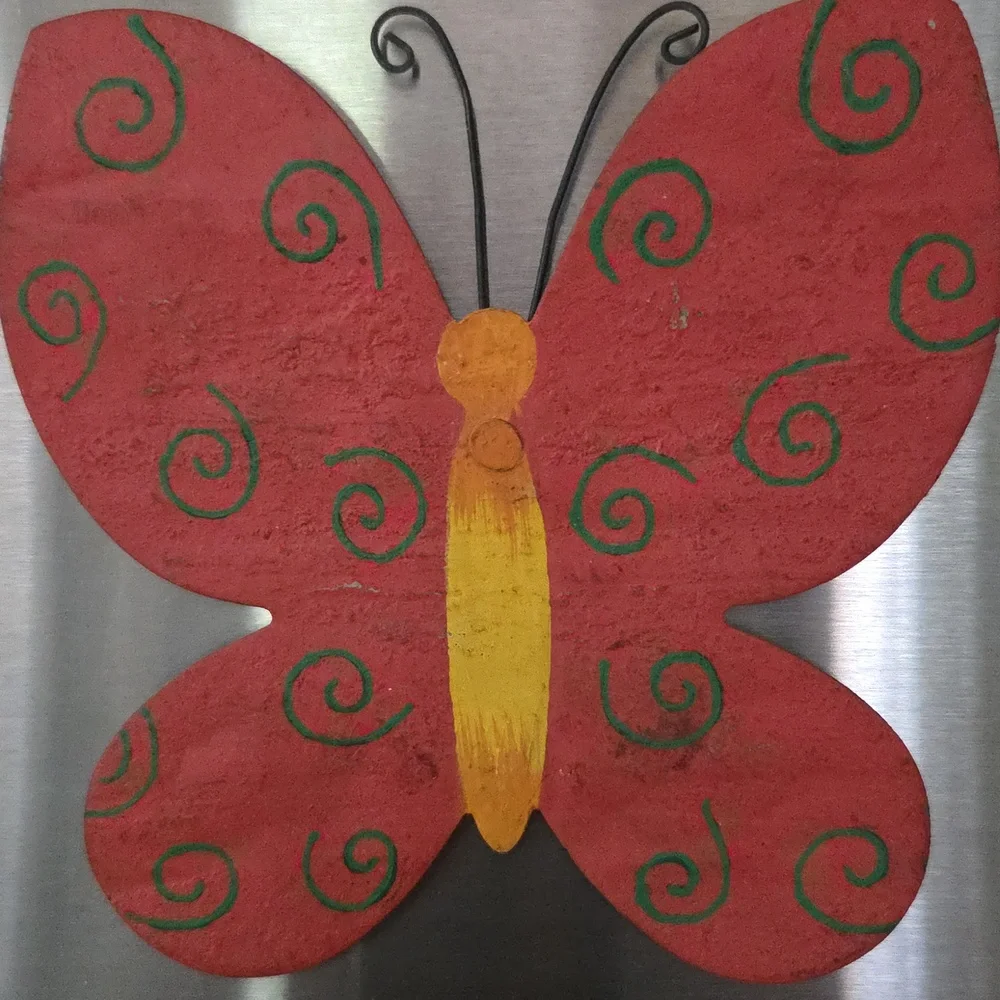 Decorative Butterfly and Heart Magnetic Art Set in Orange, Green, and Red